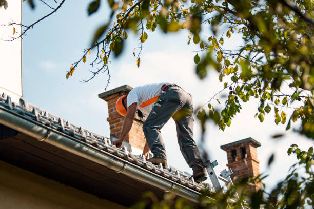 Quick and Trustworthy Emergency Roof Repair Services in James Island, SC